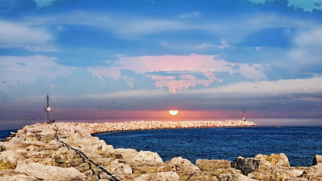 乒乓球台选哪种好一点